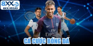 Cá Cược Bóng Đá