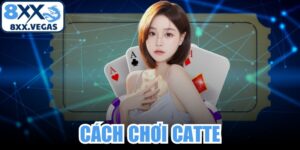 Cách Chơi Catte