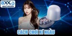 Cách Chơi Xí Ngầu
