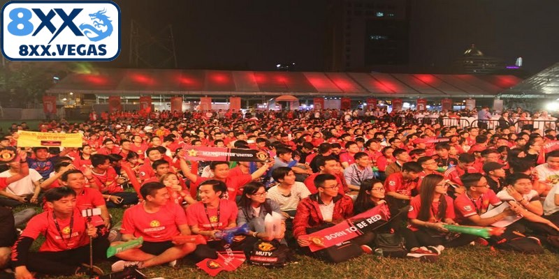 “Fan MU gọi là gì” gọi tắt cho người yêu Manchester United