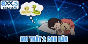 Mơ Thấy Hai Con Rắn